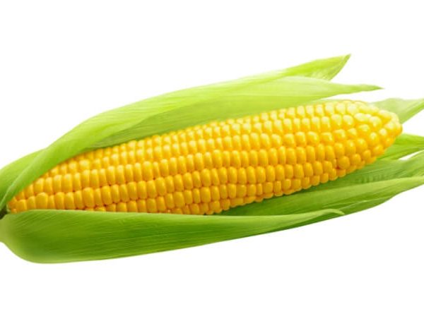 ذره ( برازيلي و ارجنتيني و اوكراني وتركي ومحلي )